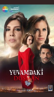 Yuvamdaki Dusman 225x400 - Дорама: Враг в моем доме / 2018 / Турция