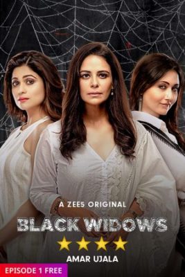 Black Widows 267x400 - Дорама: Чёрные вдовы / 2020 / Индия