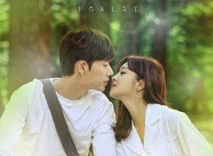 forest 2020 300x220 - Актеры дорамы: Лес / 2020 / Корея Южная
