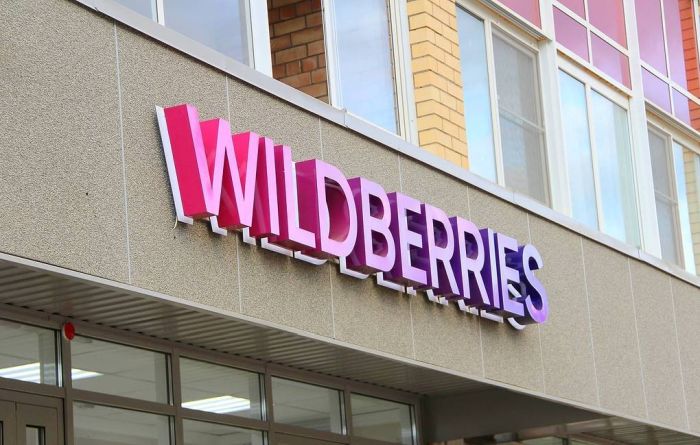 Wildberries - Wildberries: российский гигант электронной коммерции